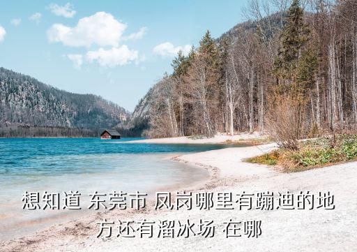 想知道 東莞市 鳳崗哪里有蹦迪的地方還有溜冰場 在哪
