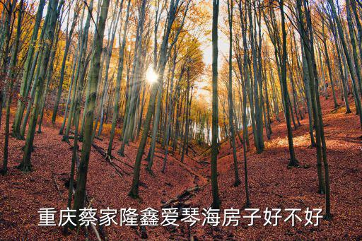 重慶蔡家隆鑫愛琴海房子好不好