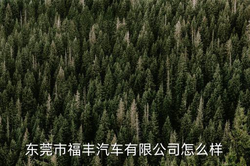 東莞市福豐汽車有限公司怎么樣