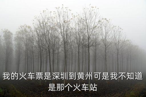 我的火車票是深圳到黃州可是我不知道是那個火車站