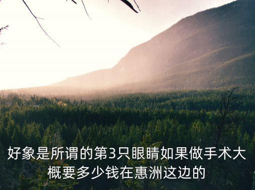 好象是所謂的第3只眼睛如果做手術(shù)大概要多少錢在惠洲這邊的