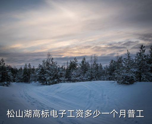 松山湖高標(biāo)電子工資多少一個(gè)月普工