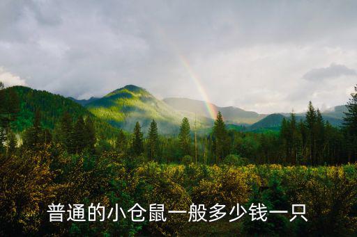 一只便宜的倉鼠多少錢，普通的小倉鼠一般多少錢一只