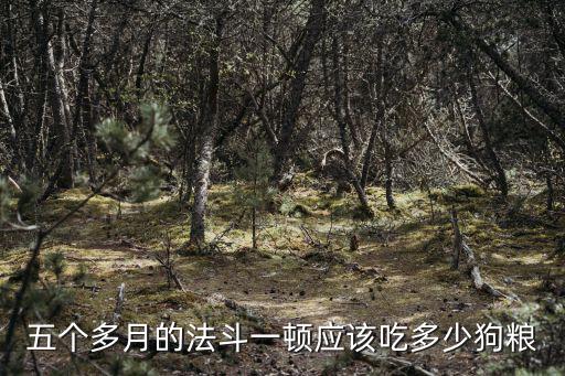 五個多月的法斗一頓應該吃多少狗糧