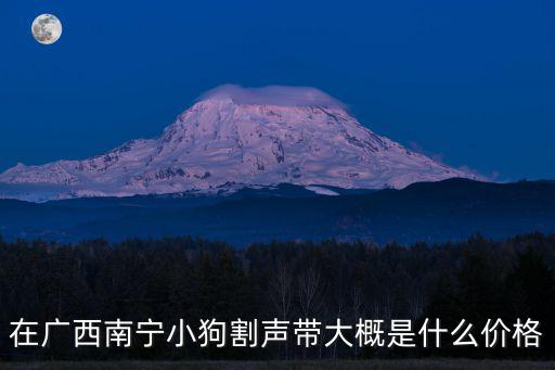 在廣西南寧小狗割聲帶大概是什么價格