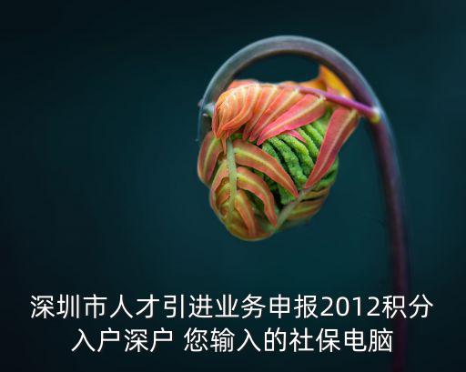 深圳市人才引進(jìn)業(yè)務(wù)申報(bào)2012積分入戶(hù)深戶(hù) 您輸入的社保電腦