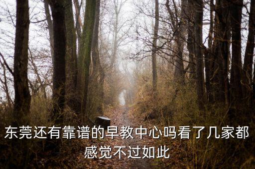 東莞還有靠譜的早教中心嗎看了幾家都感覺不過如此