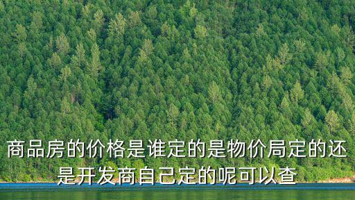 商品房的價(jià)格是誰(shuí)定的是物價(jià)局定的還是開發(fā)商自己定的呢可以查