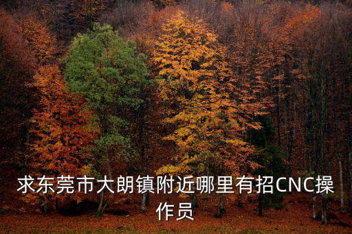 求東莞市大朗鎮附近哪里有招CNC操作員