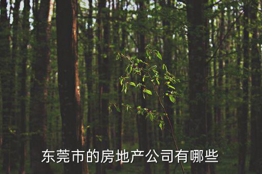 東莞市的房地產公司有哪些