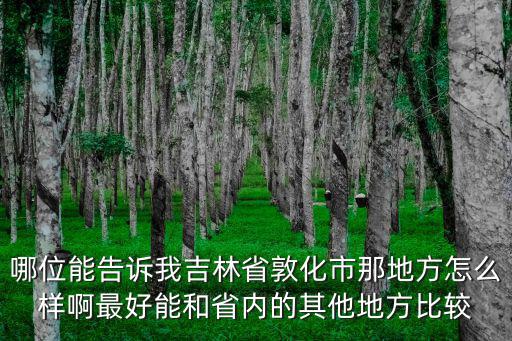 哪位能告訴我吉林省敦化市那地方怎么樣啊最好能和省內的其他地方比較