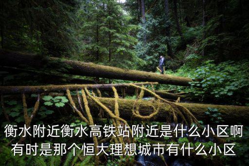 衡水附近衡水高鐵站附近是什么小區啊有時是那個恒大理想城市有什么小區