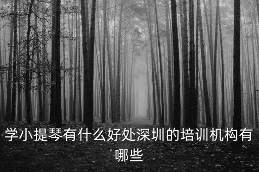 學小提琴有什么好處深圳的培訓機構有哪些