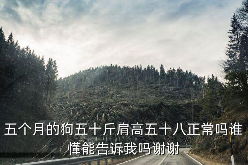 五個月的狗五十斤肩高五十八正常嗎誰懂能告訴我嗎謝謝