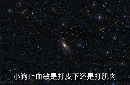 小狗止血敏是打皮下還是打肌肉