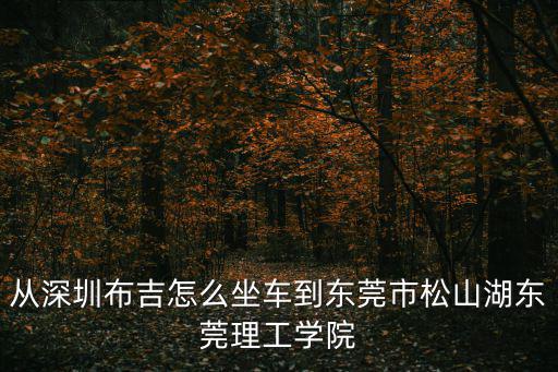 從深圳布吉怎么坐車到東莞市松山湖東莞理工學院