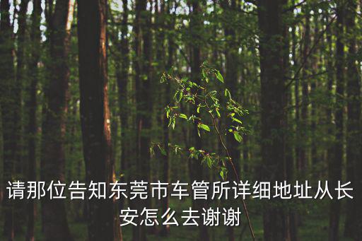 請那位告知東莞市車管所詳細地址從長安怎么去謝謝
