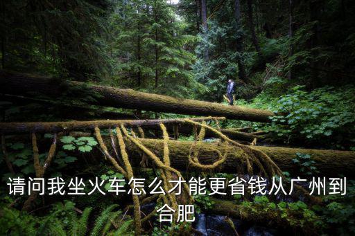 請問我坐火車怎么才能更省錢從廣州到合肥