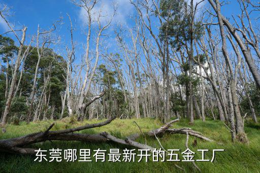 東莞大嶺山祥泰五金，東莞祥力五金經營部在哪能里