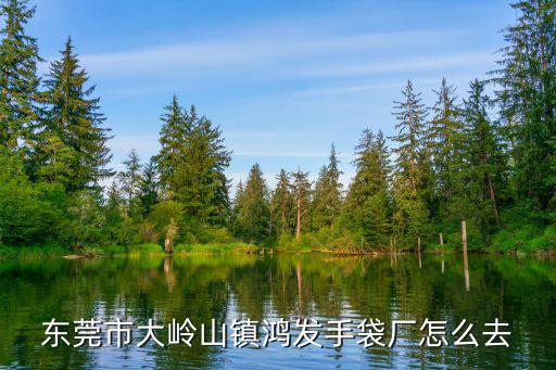 東莞市大嶺山鎮鴻發手袋廠怎么去