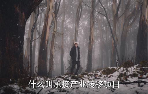 什么叫承接產業轉移項目