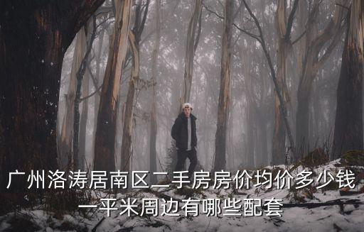 廣州洛濤居南區二手房房價均價多少錢一平米周邊有哪些配套
