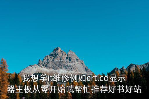 我想學(xué)it維修例如crtlcd顯示器主板從零開始哦幫忙推薦好書好站