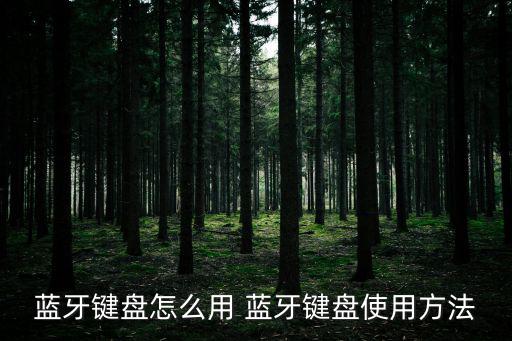 藍牙鍵盤怎么用 藍牙鍵盤使用方法