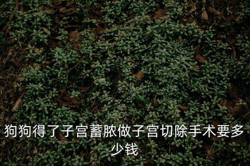 狗狗得了子宮蓄膿做子宮切除手術要多少錢