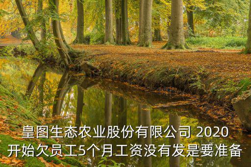 皇圖生態(tài)農(nóng)業(yè)股份有限公司 2020開(kāi)始欠員工5個(gè)月工資沒(méi)有發(fā)是要準(zhǔn)備