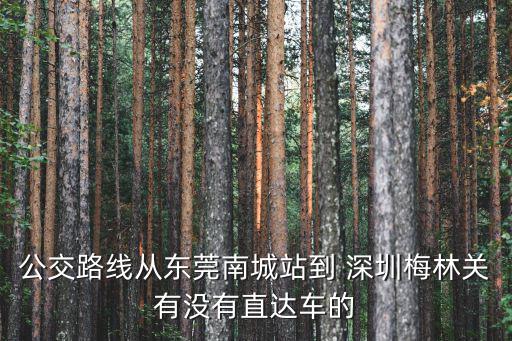 公交路線從東莞南城站到 深圳梅林關(guān)有沒有直達(dá)車的
