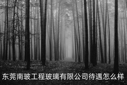 東莞南玻工程玻璃有限公司待遇怎么樣