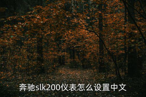 奔馳slk200儀表怎么設置中文