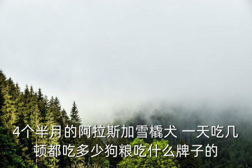 4個(gè)半月的阿拉斯加雪橇犬 一天吃幾頓都吃多少狗糧吃什么牌子的