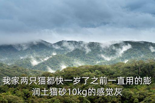 我家兩只貓都快一歲了之前一直用的膨潤土貓砂10kg的感覺灰
