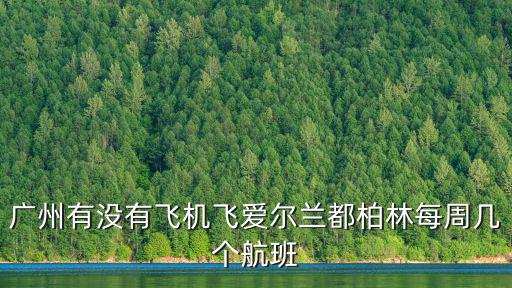 廣州有沒有飛機飛愛爾蘭都柏林每周幾個航班