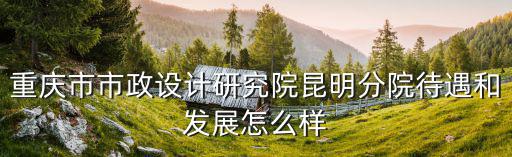 重慶市市政設計研究院昆明分院待遇和發展怎么樣