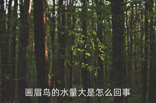 畫眉鳥的水量大是怎么回事