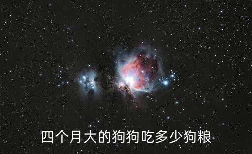 四個月柴犬吃多少狗糧，四個月大的狗狗吃多少狗糧