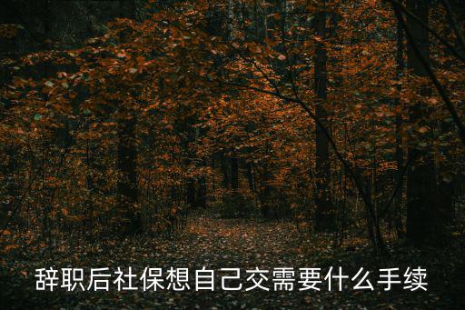 上海辭職后社保怎么自己續(xù)交，辭職不工作了自己怎么續(xù)交金呢上海的