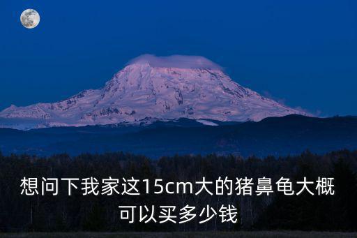 豬鼻龜養(yǎng)多少錢，豬鼻龜豬鼻龜價(jià)格豬鼻龜多少錢一只豬鼻龜好養(yǎng)嗎