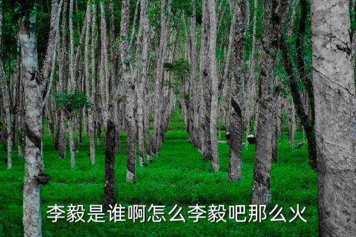 李毅是誰啊怎么李毅吧那么火