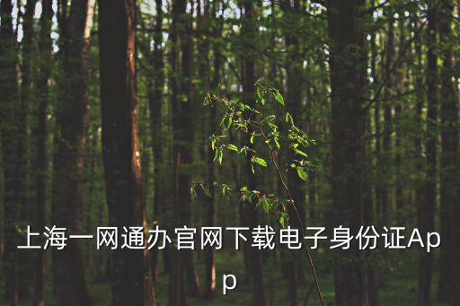 上海一網通辦官網下載電子身份證App