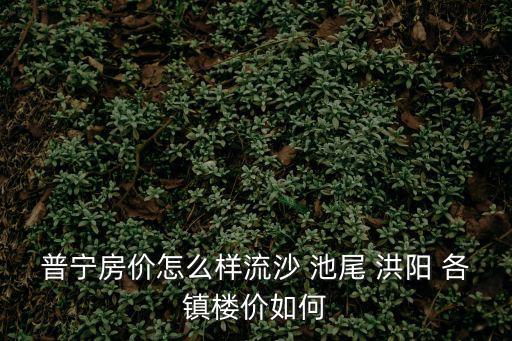 普寧房價怎么樣流沙 池尾 洪陽 各鎮樓價如何