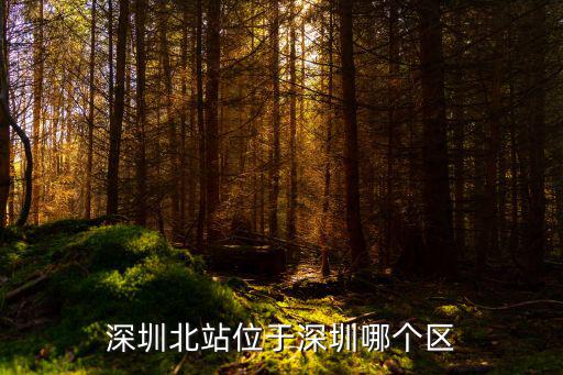 深圳北站位于深圳哪個區(qū)
