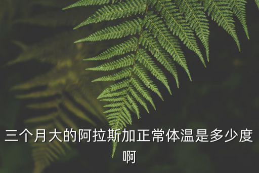 三個月大的阿拉斯加正常體溫是多少度啊