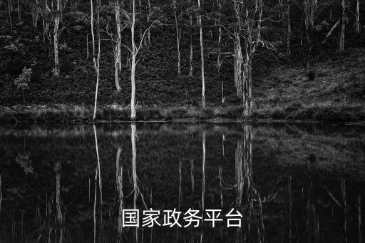 國家政務服務平臺，全國一體化政務服務平臺怎么進入