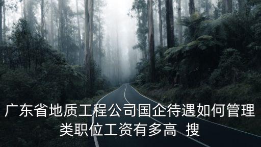 廣東省地質工程公司國企待遇如何管理類職位工資有多高  搜