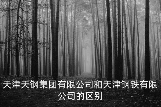 天津天鋼集團有限公司和天津鋼鐵有限公司的區別