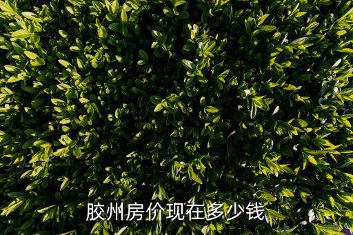 膠州房價現在多少錢